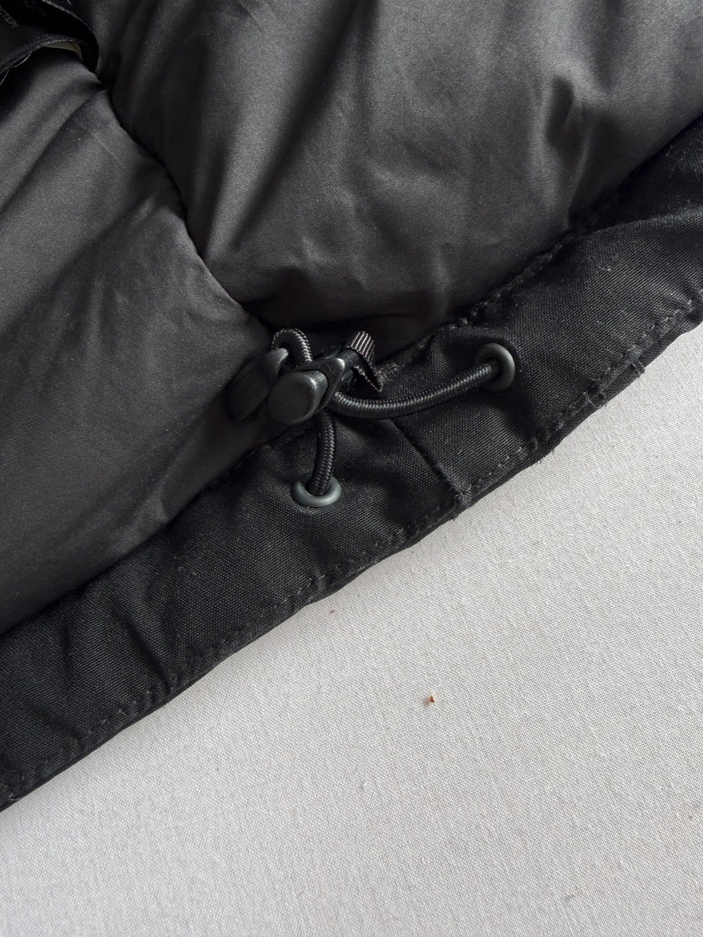 The North Face black parka with detachable faux fur hood and waterproof HyVent technology.