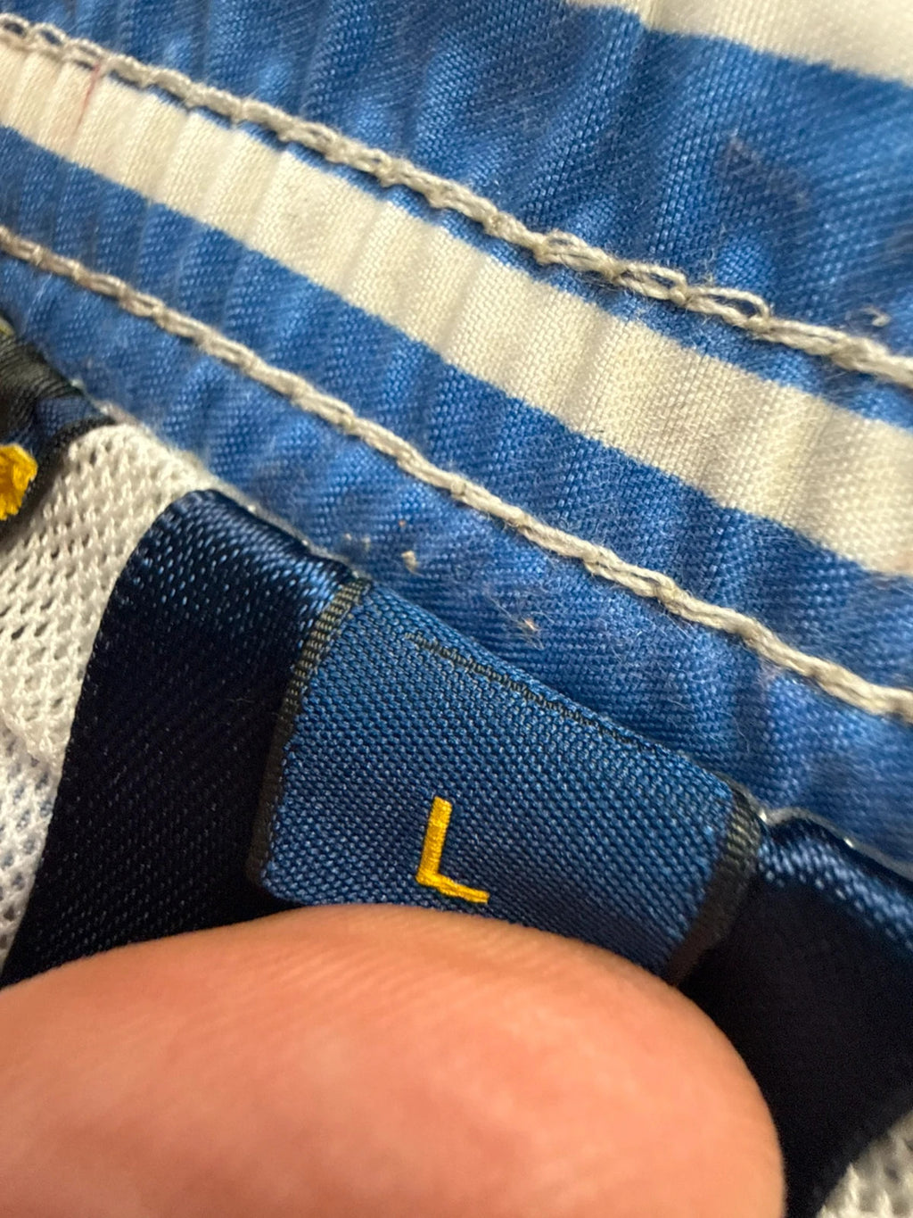 Ralph Lauren blue and white striped swim shorts with classic pony embroidery and drawstring waist.